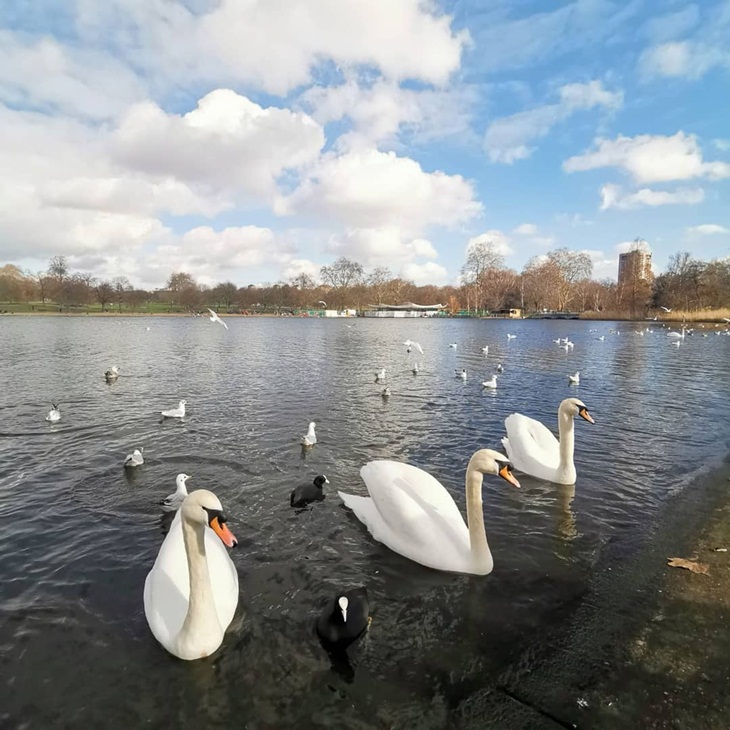 Serpentine Lake. (Foto: instagram.com/efrainsalasvinatea)
