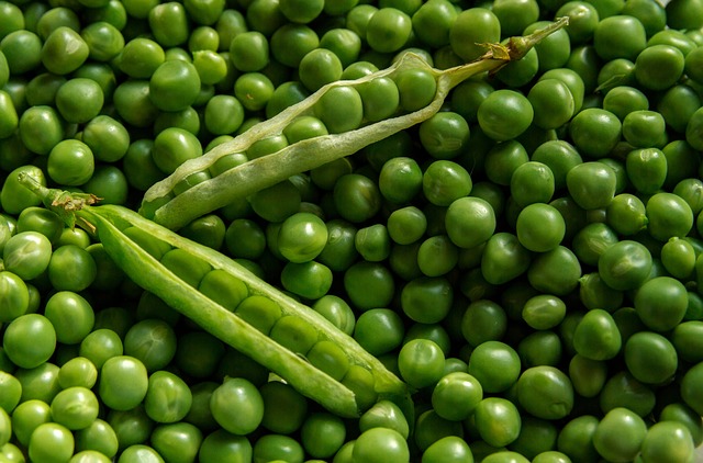 Ingin Perut Rata? Perbanyak Konsumsi 6 Makanan Ini