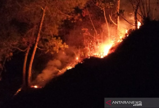 Semalam Padam, Api Kembali Lahap Hutan Gunung Cikuray
