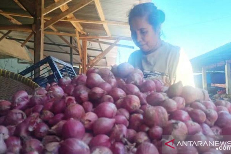 [Hoaks atau Fakta]: Letakkan Bawang Merah di Bawah Kaki Sembuhkan Kanker