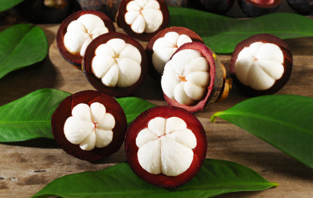 Kabar Gembira untuk Kita Semua, Buah Manggis Ternyata Punya Banyak Manfaat Kesehatan
