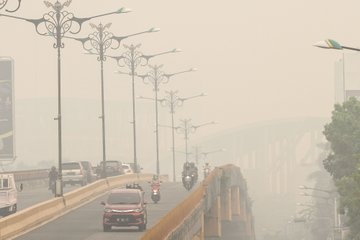 Wasekjen Gerindra ke Jokowi: Janji Tidak Ada Kebakaran Hutan Faktanya Nol Besar