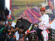 Sang Bupati Beberkan Harga Dua Kuda Untuk Jokowi, Berapa Ya?
