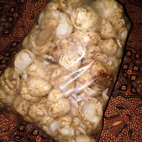 Kerupuk antor kuliner khas Kota Tegal yang telah dikemas untuk oleh-oleh. (Instagram/ lailaubais)