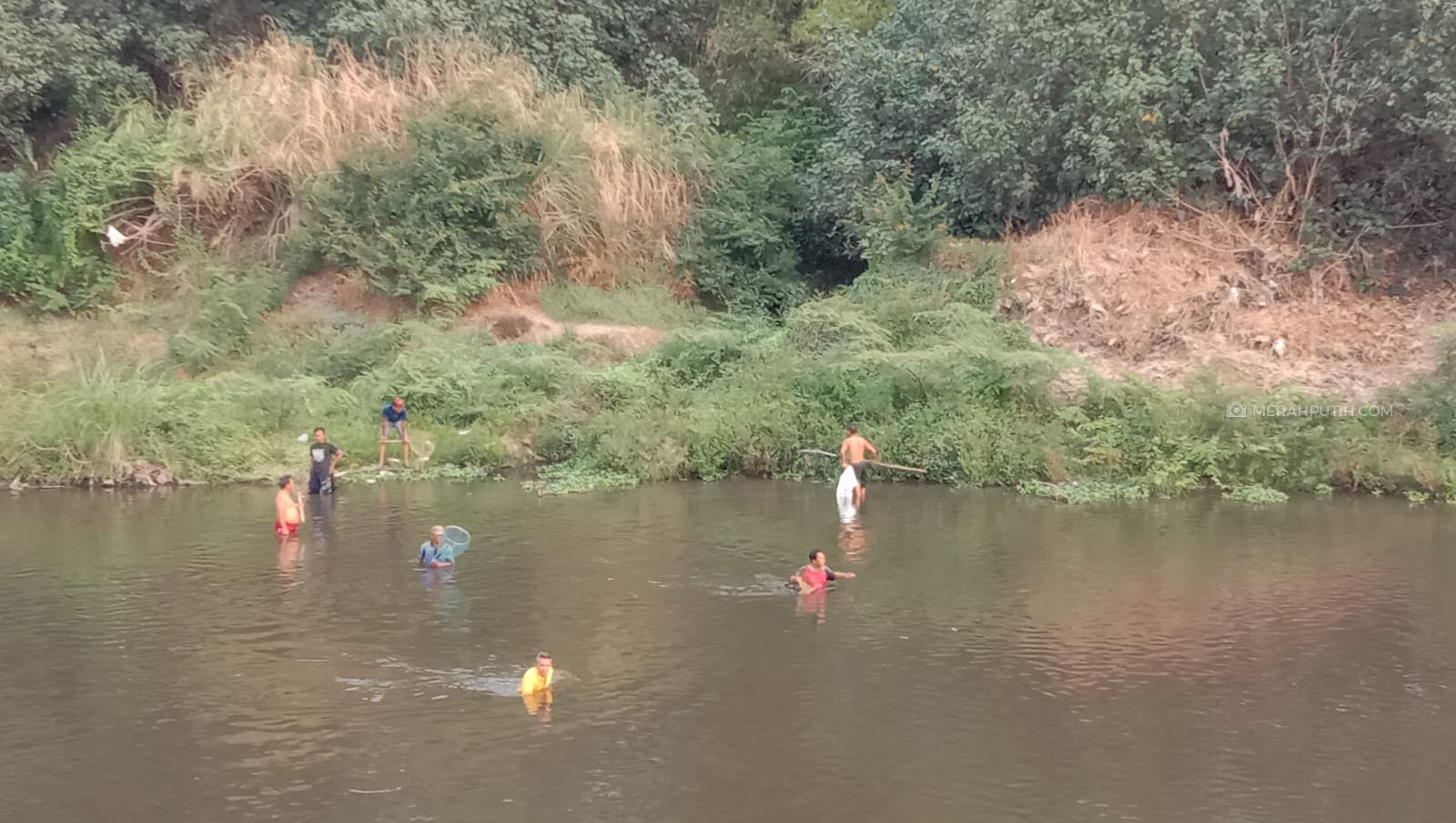 Sungai Bengawan Solo Kembali Tercemar Bikin Ikan-ikan Mati