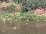 Sungai Bengawan Solo Kembali Tercemar Bikin Ikan-ikan Mati