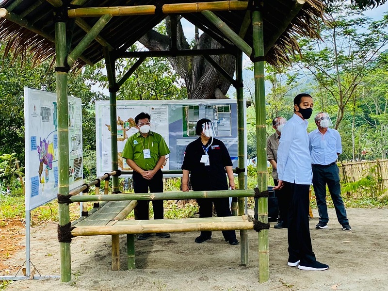 Jokowi saat tinjau kebun bibit. (Foto: setkab.go.id).