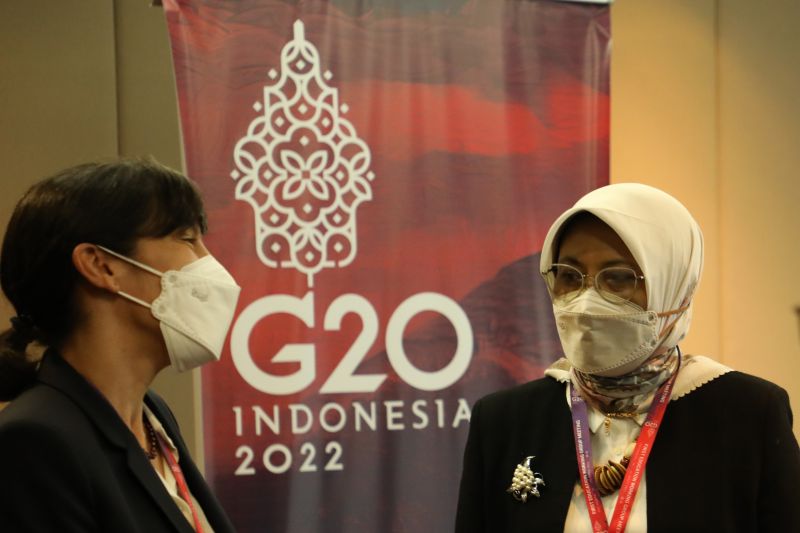 Forum B20 Bahas Pasar Karbon dan Penyaluran Dana Biayai Transisi Energi