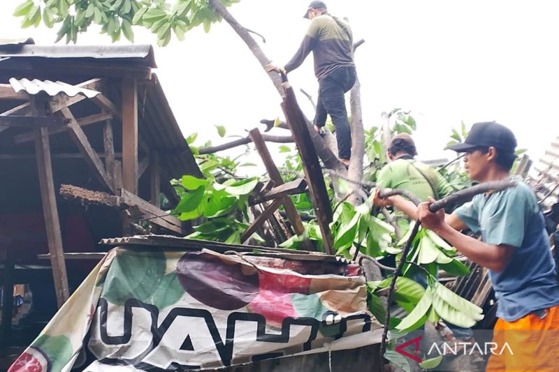 Pohon Tumbang Timpa 5 Kios di Pasar Muncul Jaktim, Untung Tidak Ada Korban Jiwa