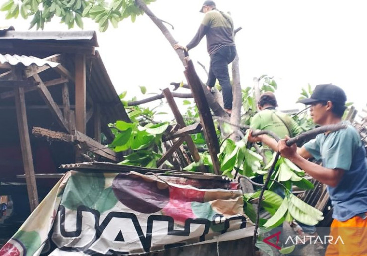 Pohon Tumbang Timpa 5 Kios di Pasar Muncul Jaktim, Untung Tidak Ada Korban Jiwa