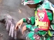 Sedih, Molly si Gajah Betina Bali Zoo Mati Setelah Hanyut 3 Kilometer di Sungai