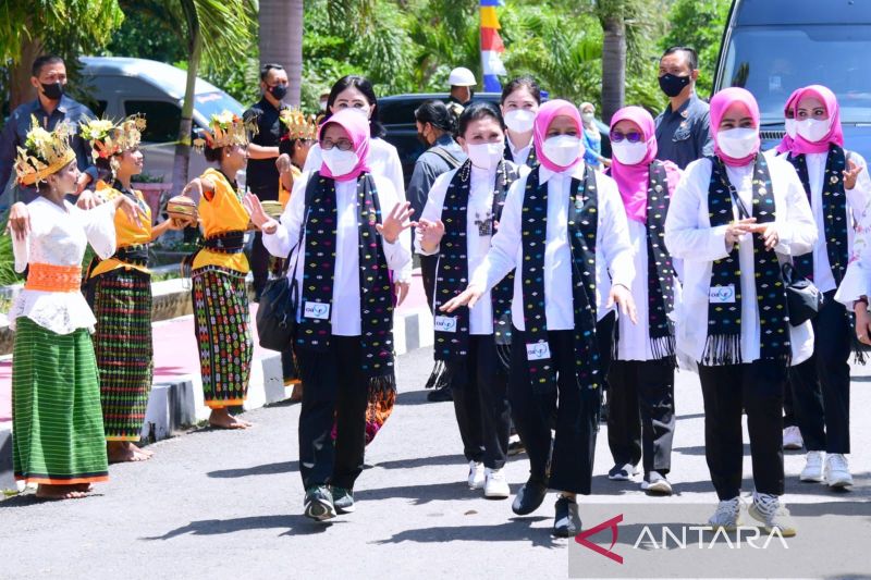 Iriana dan Para Istri Menteri Tanam Pohon di Pulau Rinca Taman Nasional Komodo
