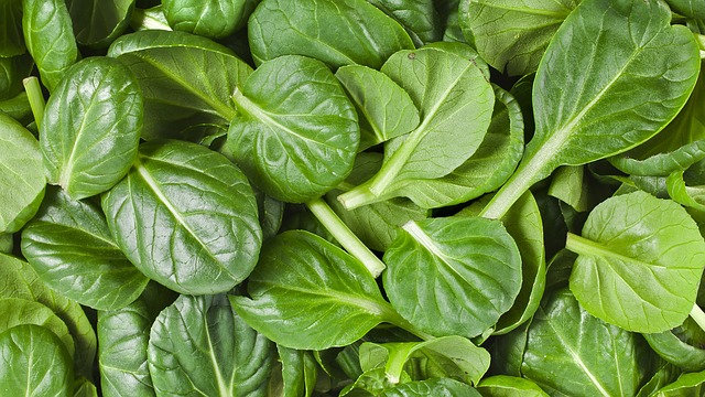 Konsumsi 3 Makanan Super ini untuk Membuat Sperma Lebih Berkualitas