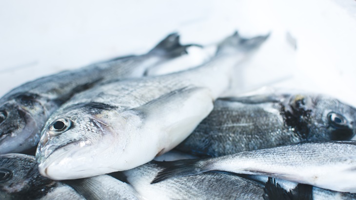 4 Frozen Food Menyehatkan Tubuh