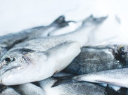 4 Frozen Food Menyehatkan Tubuh