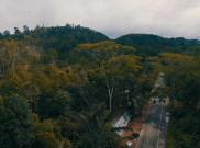 Jokowi Tinjau Lokasi Calon Ibu Kota Baru