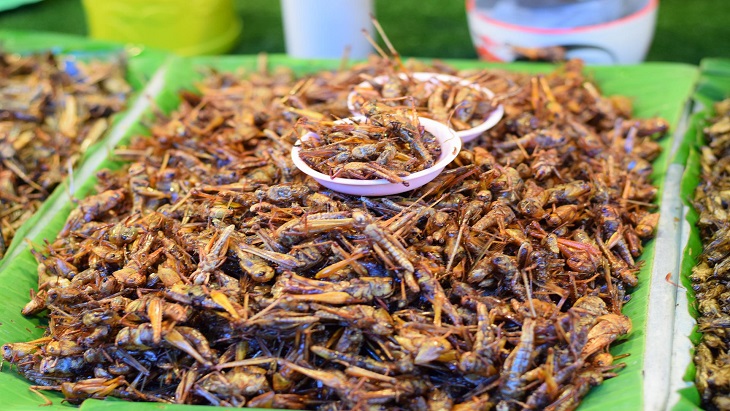 Selain Belalang, Serangga ini Jadi Pangan Tradisional di Indonesia