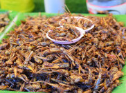 Selain Belalang, Serangga ini Jadi Pangan Tradisional di Indonesia