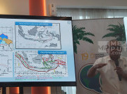 BRIN Ungkap 22 Persen Karang Punah di 2100