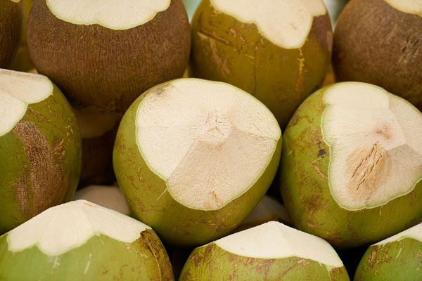 kelapa muda