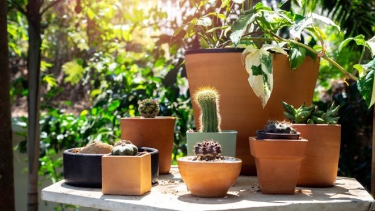 Pot keramik atau tanah liat paling baik karena awet dan memiliki bentuk beragam. (Foto: 123RF/teteescape)