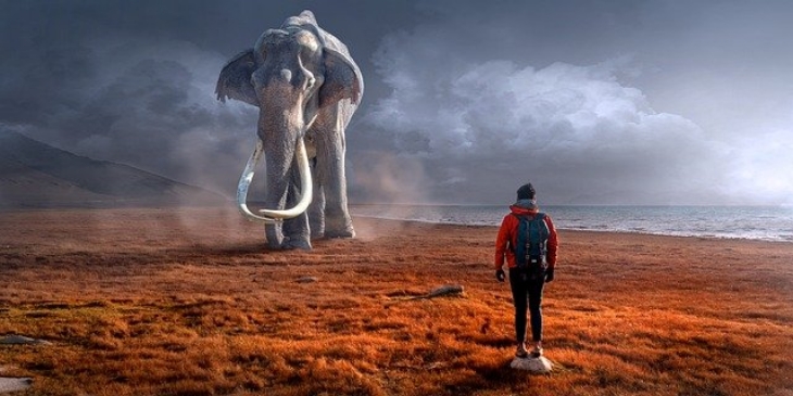 Hati-hati gajah bisa tak sengaja menginjak manusia. (Foto: Pixabay/KELLEPICS)