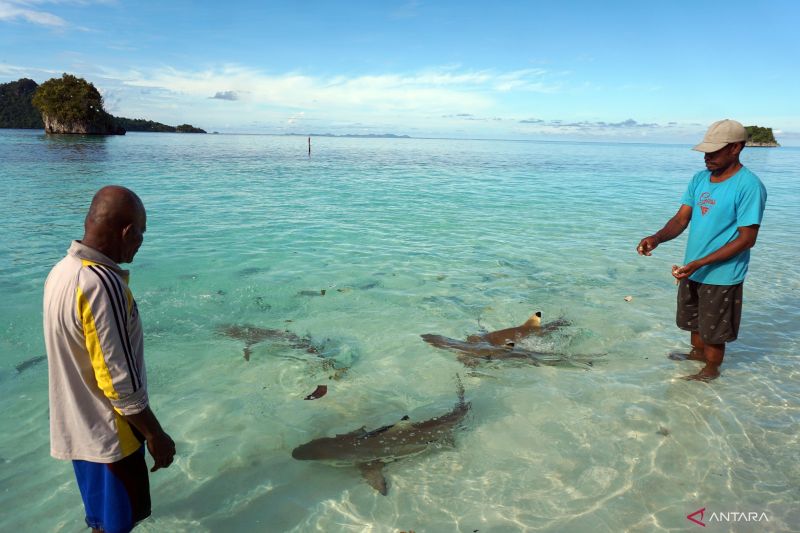 Polemik Tambang Tak Goyahkan Raja Ampat, Pariwisata Tetap Aman dan Berkelas Dunia