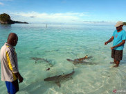 Polemik Tambang Tak Goyahkan Raja Ampat, Pariwisata Tetap Aman dan Berkelas Dunia