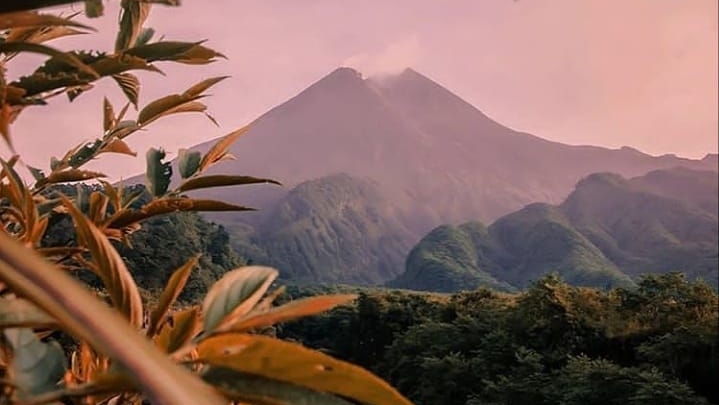 Kali Adem (Foto: Instagram/vietri4394)