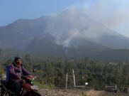 Penghijauan Lereng Merapi Pascaerupsi Baru 90 Hektare