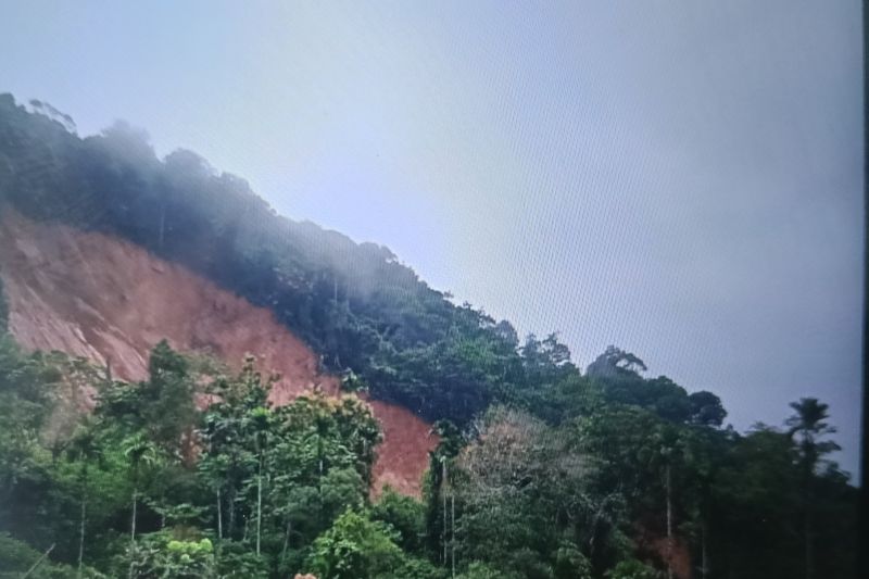 7 Warga Pasaman Barat Tertimbun Longsor Dini Hari, 6 Orang Masih dalam Pencarian