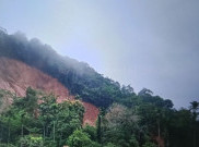 7 Warga Pasaman Barat Tertimbun Longsor Dini Hari, 6 Orang Masih dalam Pencarian