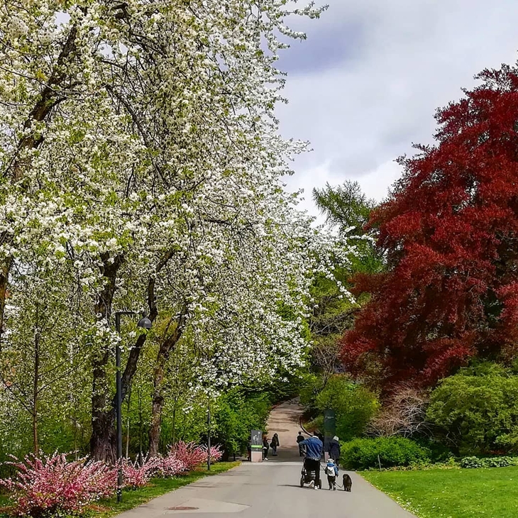 Botanical Garden di Oslo. (Foto: instagram.com/tammy.lk)