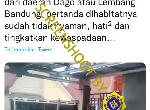 [HOAKS atau FAKTA]: Kawanan Kera Masuki Perumahan Warga di Dago Bandung