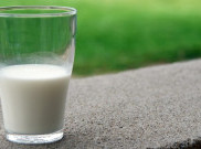 Susu Baik Untuk Tumbuh Kembang Anak