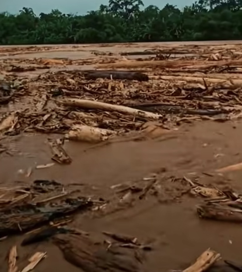 Bareskrim Polri Ungkap 8 Perusahaan yang Diduga Terlibat Pembalakan Liar di Sumatra, Biang Keladi Banjir dan Longsor