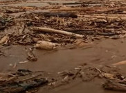 Bareskrim Polri Ungkap 8 Perusahaan yang Diduga Terlibat Pembalakan Liar di Sumatra, Biang Keladi Banjir dan Longsor