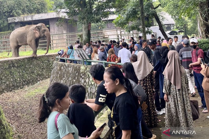 Pengunjung Padati Taman Margasatwa Ragunan H+1 Lebaran
