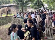 Pengunjung Padati Taman Margasatwa Ragunan H+1 Lebaran