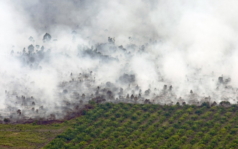 Kebakaran hutan dan lahan di Riau