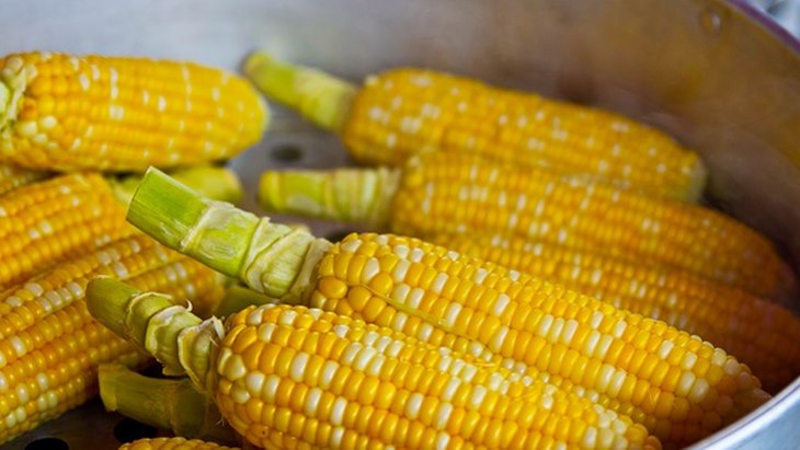 jagung