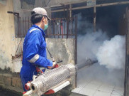 Kemenkes Ingatkan Masyarakat Waspada DBD Selama PSBB