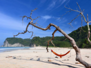 Pantai Tarimbang, Surga Tersembunyi di Sumba Timur