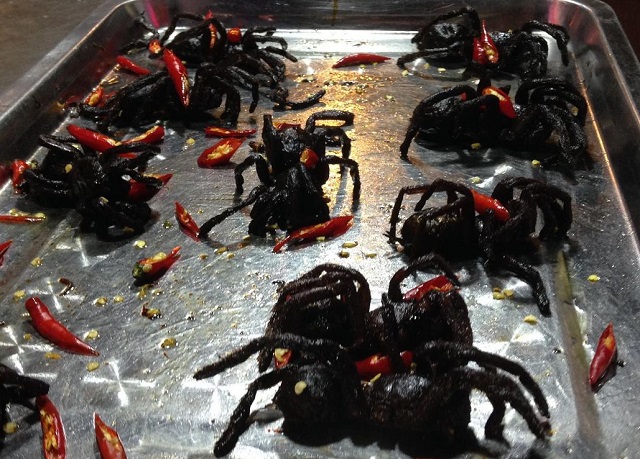 tarantula