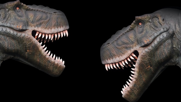 Tyrannosaurus Rex Punya AC di Kepalanya