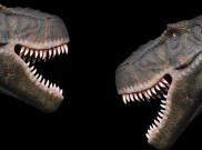 Tyrannosaurus Rex Punya AC di Kepalanya