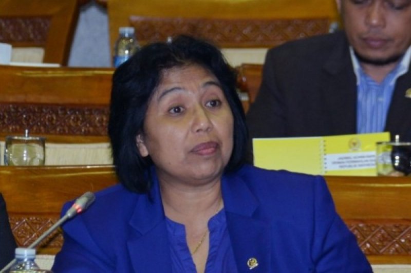rma Suryani Chaniago. (Foto dpr.go.id)