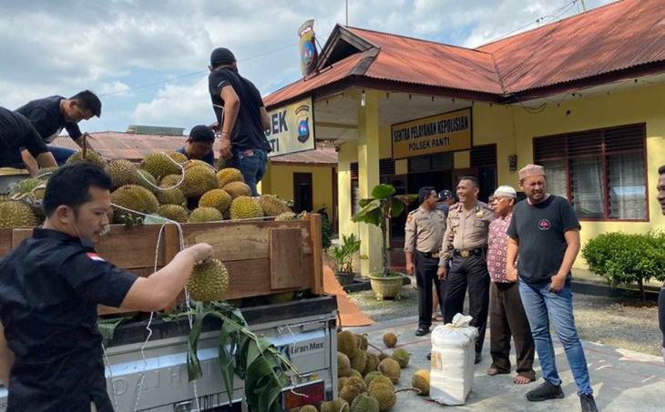 Ratusan Kilogram Ganja Diselundupkan ke Jakarta Lewat Truk Durian