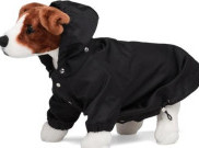 Para Sosialita, Yuk Beli Jas Hujan Untuk Anjing Peliharaanmu Seharga 7 Jutaan