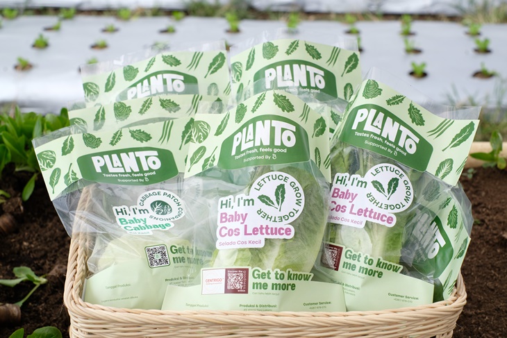 Sayurbox Gandeng Centrigo Hadirkan Sayur Premium Planto